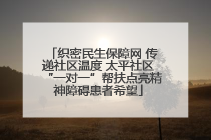 织密民生保障网 传递社区温度 太平社区“一对一”帮扶点亮精神障碍患者希望