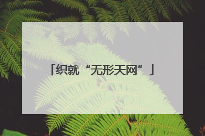 织就“无形天网”
