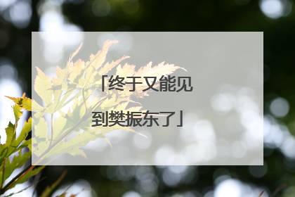 终于又能见到樊振东了