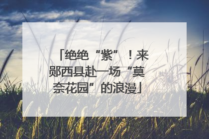 绝绝“紫”！来郧西县赴一场“莫奈花园”的浪漫