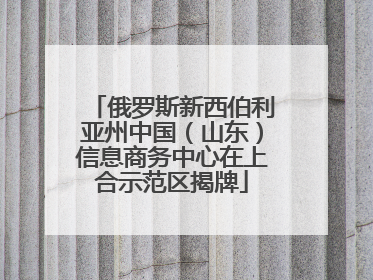 俄罗斯新西伯利亚州中国（山东）信息商务中心在上合示范区揭牌