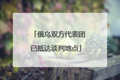 俄乌双方代表团已抵达谈判地点