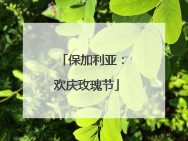 保加利亚：欢庆玫瑰节