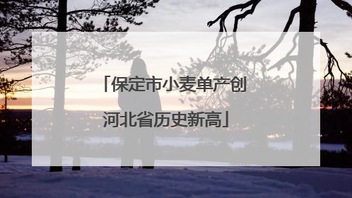保定市小麦单产创河北省历史新高