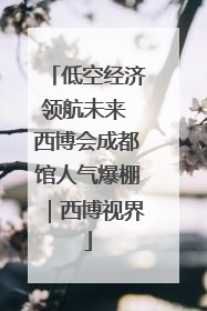 低空经济领航未来 西博会成都馆人气爆棚｜西博视界