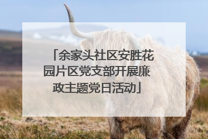 余家头社区安胜花园片区党支部开展廉政主题党日活动