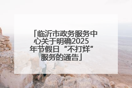 临沂市政务服务中心关于明确2025年节假日“不打烊”服务的通告