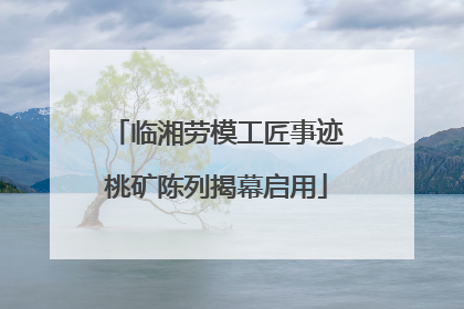 临湘劳模工匠事迹桃矿陈列揭幕启用