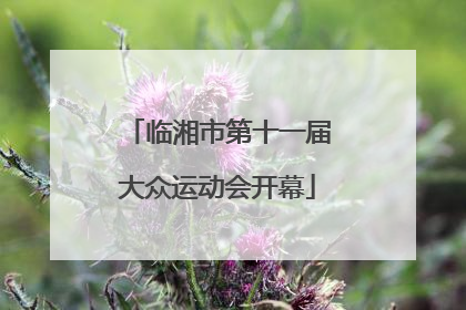 临湘市第十一届大众运动会开幕