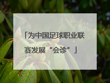 为中国足球职业联赛发展“会诊”