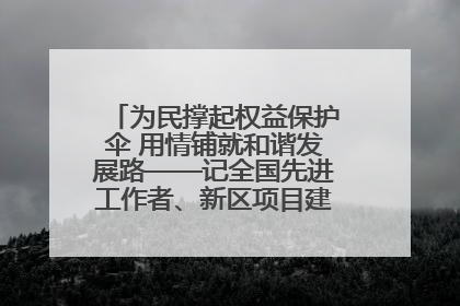 为民撑起权益保护伞 用情铺就和谐发展路——记全国先进工作者、新区项目建设中心干部卢小勇