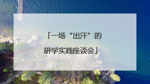 一场“出汗”的研学实践座谈会