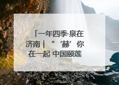 一年四季·泉在济南｜“‘赫’你在一起 中国颐莲喷雾节”：解锁济南夏日消费热潮中的国货新势力