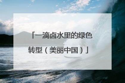 一滴卤水里的绿色转型（美丽中国）