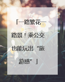 一路繁花一路景！乘公交也能玩出“旅游感”