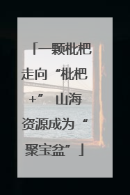 一颗枇杷走向“枇杷+” 山海资源成为“聚宝盆”