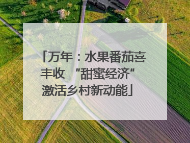 万年：水果番茄喜丰收 “甜蜜经济”激活乡村新动能