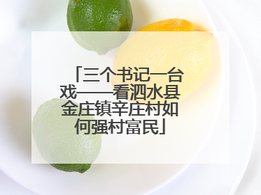 三个书记一台戏——看泗水县金庄镇辛庄村如何强村富民