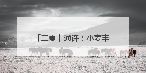 三夏｜通许：小麦丰收季 秸秆回收忙