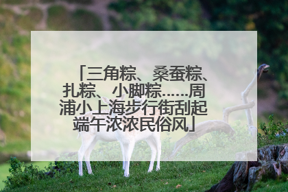 三角粽、桑蚕粽、扎粽、小脚粽……周浦小上海步行街刮起端午浓浓民俗风