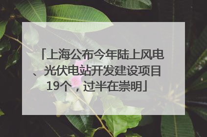 上海公布今年陆上风电、光伏电站开发建设项目19个，过半在崇明