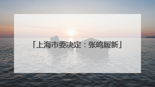 上海市委决定：张鸣履新