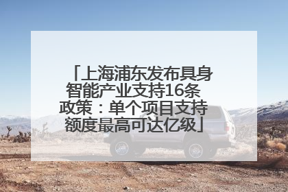 上海浦东发布具身智能产业支持16条政策：单个项目支持额度最高可达亿级