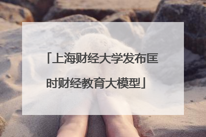 上海财经大学发布匡时财经教育大模型