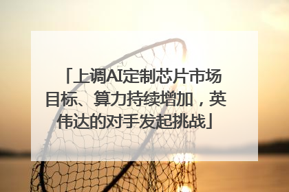 上调AI定制芯片市场目标、算力持续增加，英伟达的对手发起挑战