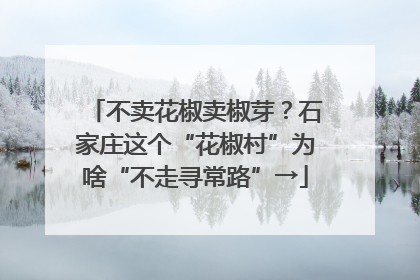 不卖花椒卖椒芽？石家庄这个“花椒村”为啥“不走寻常路”→