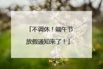 不调休！端午节放假通知来了！