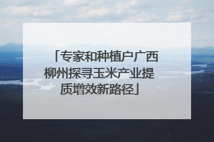 专家和种植户广西柳州探寻玉米产业提质增效新路径