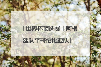 世界杯预选赛丨阿根廷队平哥伦比亚队