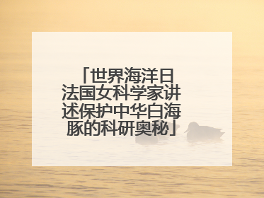 世界海洋日 法国女科学家讲述保护中华白海豚的科研奥秘