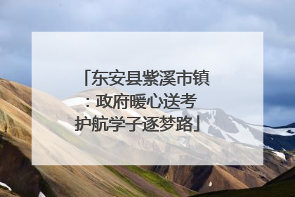 东安县紫溪市镇：政府暖心送考 护航学子逐梦路