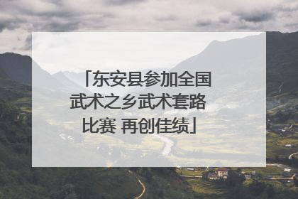 东安县参加全国武术之乡武术套路比赛 再创佳绩