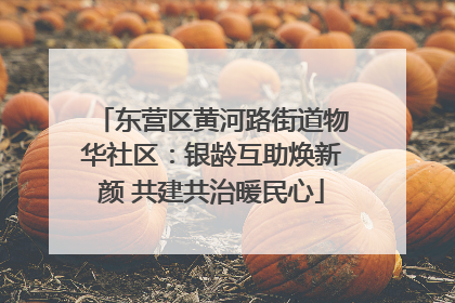 东营区黄河路街道物华社区：银龄互助焕新颜 共建共治暖民心