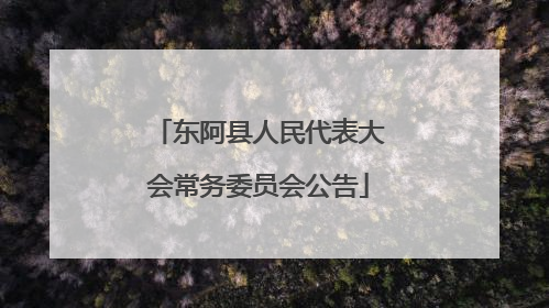 东阿县人民代表大会常务委员会公告