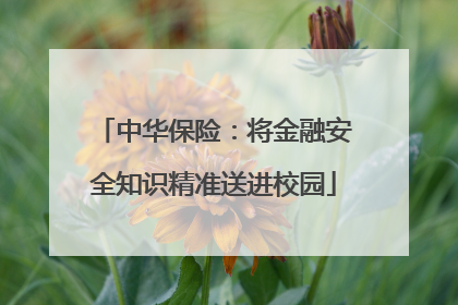 中华保险：将金融安全知识精准送进校园