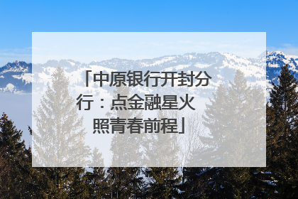 中原银行开封分行：点金融星火 照青春前程