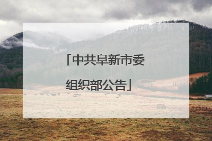 中共阜新市委组织部公告