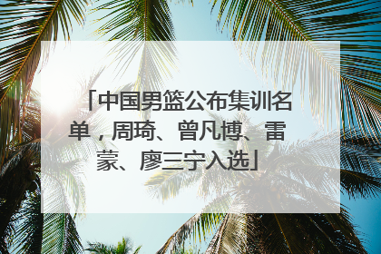 中国男篮公布集训名单，周琦、曾凡博、雷蒙、廖三宁入选