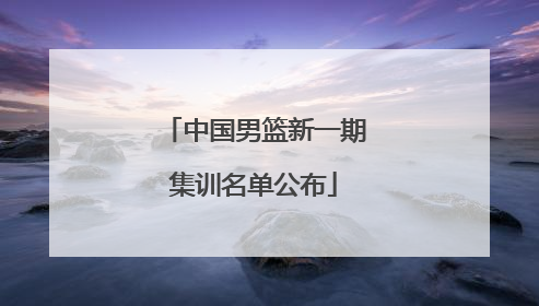 中国男篮新一期集训名单公布