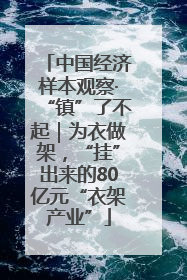 中国经济样本观察·“镇”了不起｜为衣做架，“挂”出来的80亿元“衣架产业”