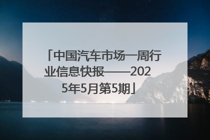 中国汽车市场一周行业信息快报——2025年5月第5期