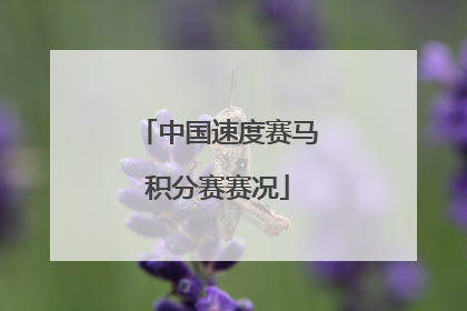 中国速度赛马积分赛赛况