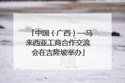 中国（广西）—马来西亚工商合作交流会在吉隆坡举办