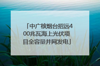 中广核烟台招远400兆瓦海上光伏项目全容量并网发电