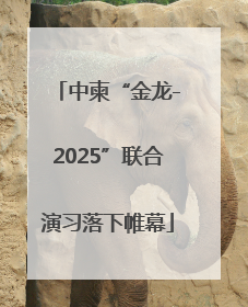 中柬“金龙-2025”联合演习落下帷幕