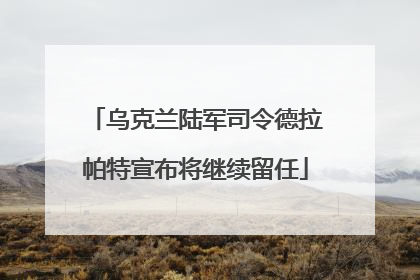 乌克兰陆军司令德拉帕特宣布将继续留任